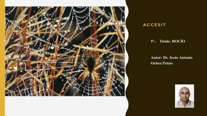 Quinto accesit Fotografía