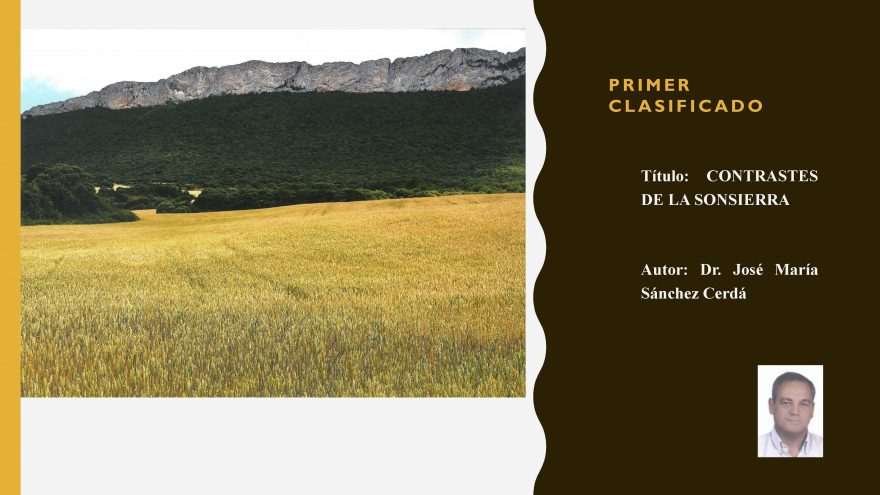 Primer premio pintura