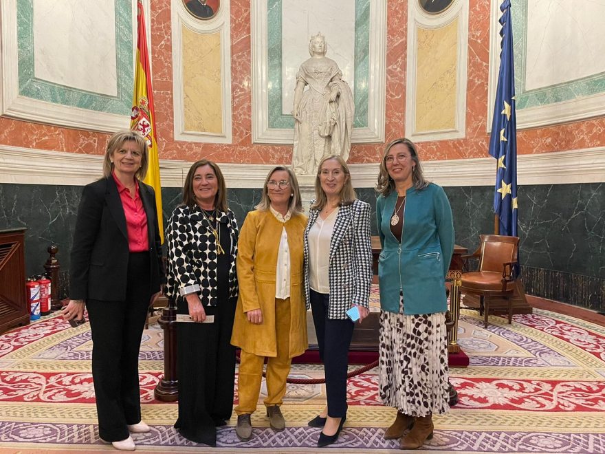 La presidenta del Colegio, en el centro, en la presentación del Códido en el Congreso.